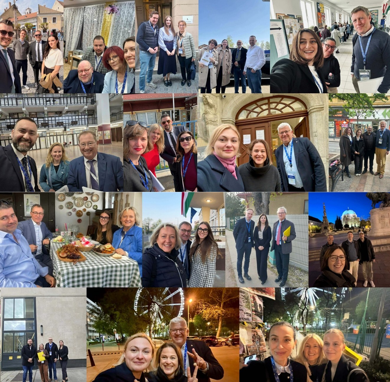 Ungarske valg 2026 CoE-delegation 